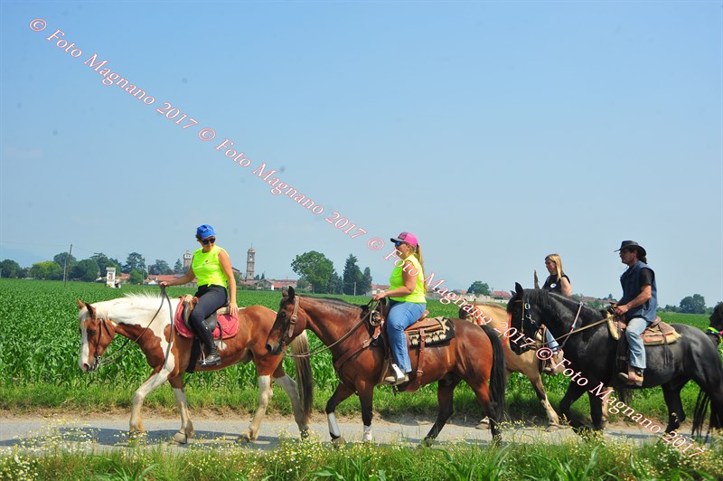 DSC_0856.JPG